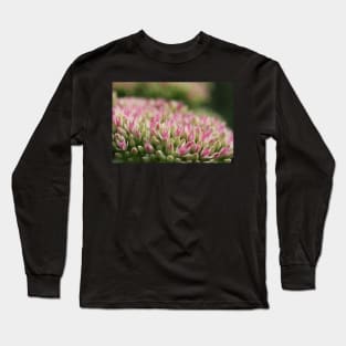 Sedum Long Sleeve T-Shirt